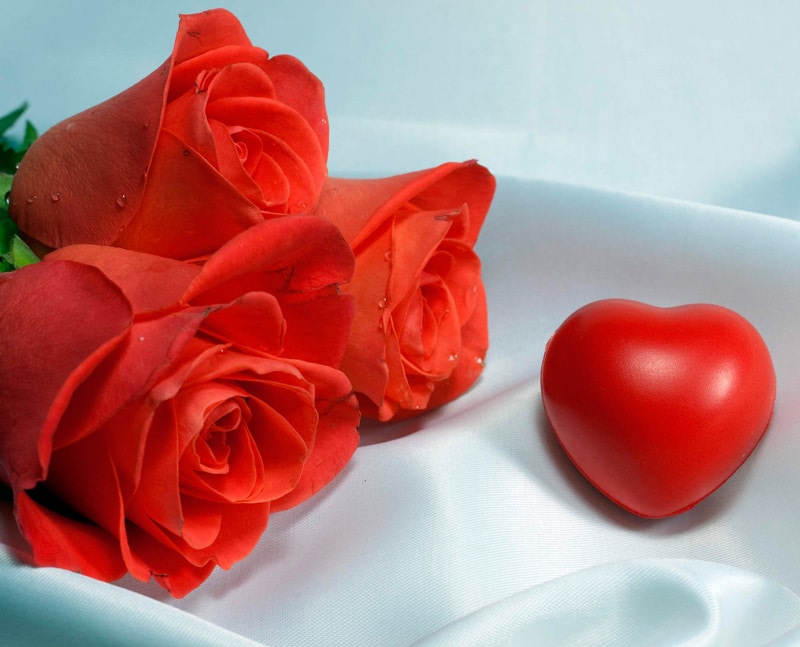 xarcuteria-ferran-love-souvenir-1296204037_22