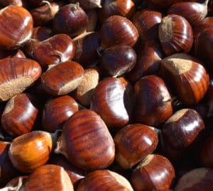 Castanas