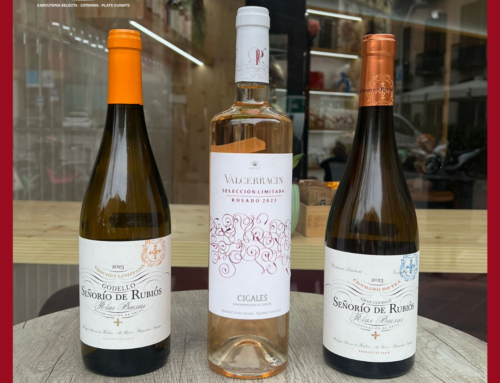 NUEVAS INCORPORACIONES: VINOS PARA BRINDAR Y DISFRUTAR